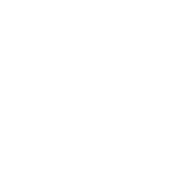 automotive APT - 公司专业范畴