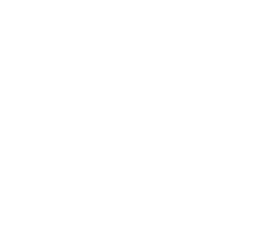 icon-manufacturing APT - 公司专业范畴